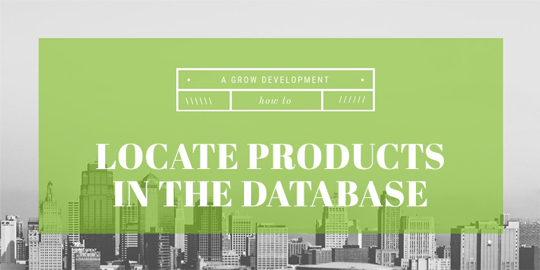 WooCommerce: How to find products in the database